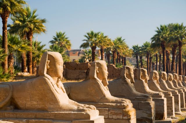Row of Sphinxes in Egypt